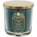 Sonoma Goods For Life Candle