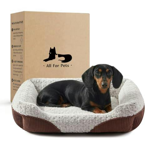 Cute Dog Bed