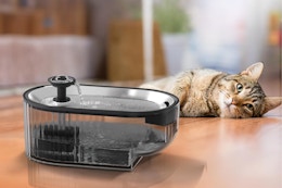 Cat Water Fountain, Only $8.44 on Amazon card image