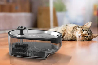 A tabby cat lies on its side behind the Papifeed cat water fountain, which has water coming from a fountain-tap at the top.