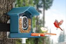  DOCOON Smart Bird Feeder with Camera on a tree capturing a cardinal in flight.