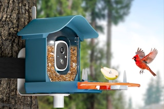 DOCOON Smart Bird Feeder with Camera on a tree capturing a cardinal in flight.