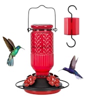 Glass Hummingbird Feeder