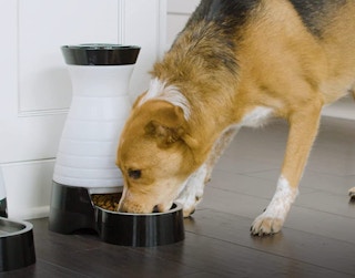 screen shot 2023 06 02 at 121248 pm 1685725997 1685725997