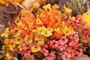 fall flowers