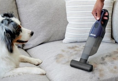 Shark Handheld Pet Vacuum, Only $35 Shipped at QVC (Reg. $60) card image