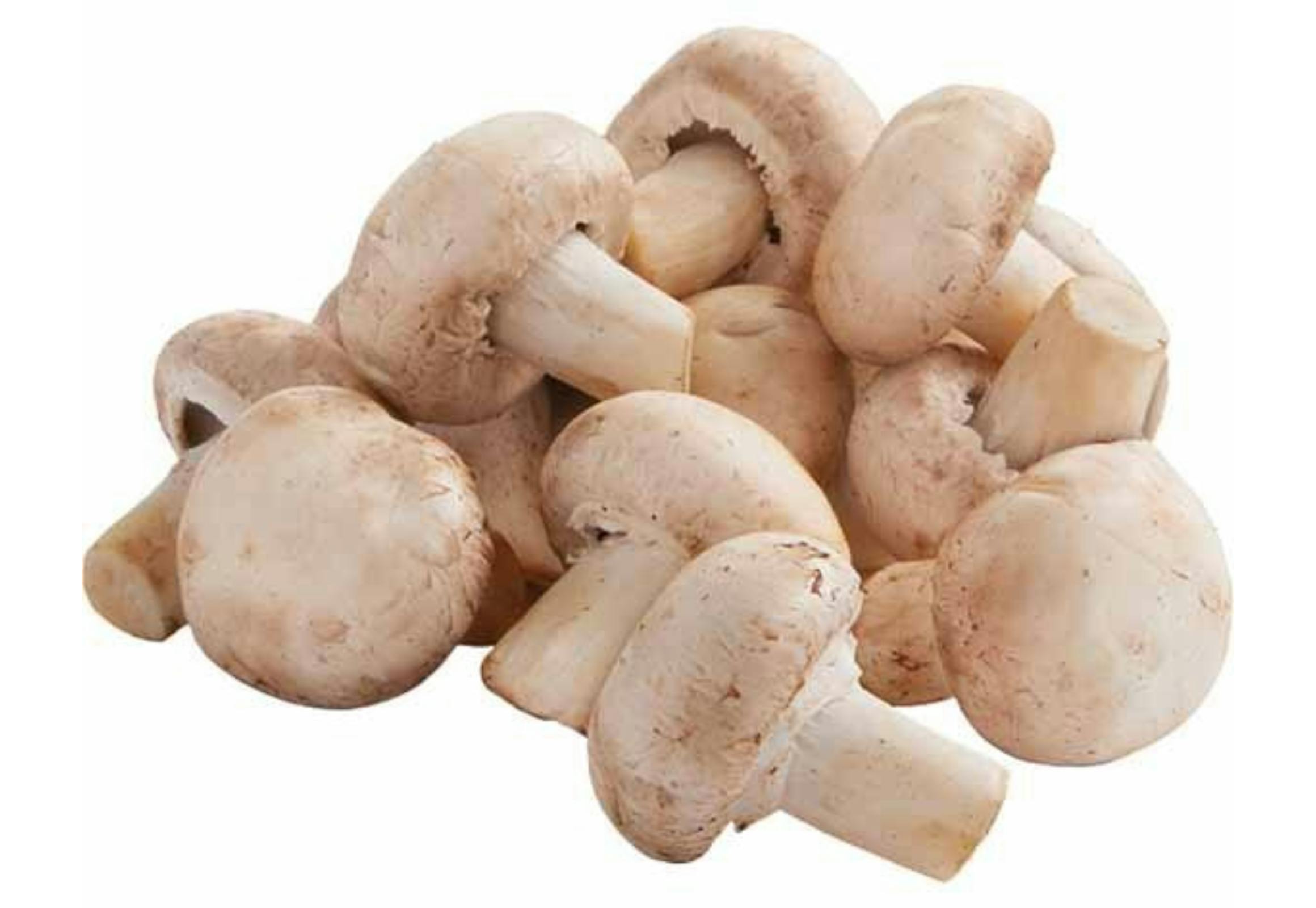 Whole White Mushrooms