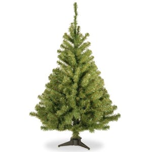 National Tree Company Kincaid Spruce Tree