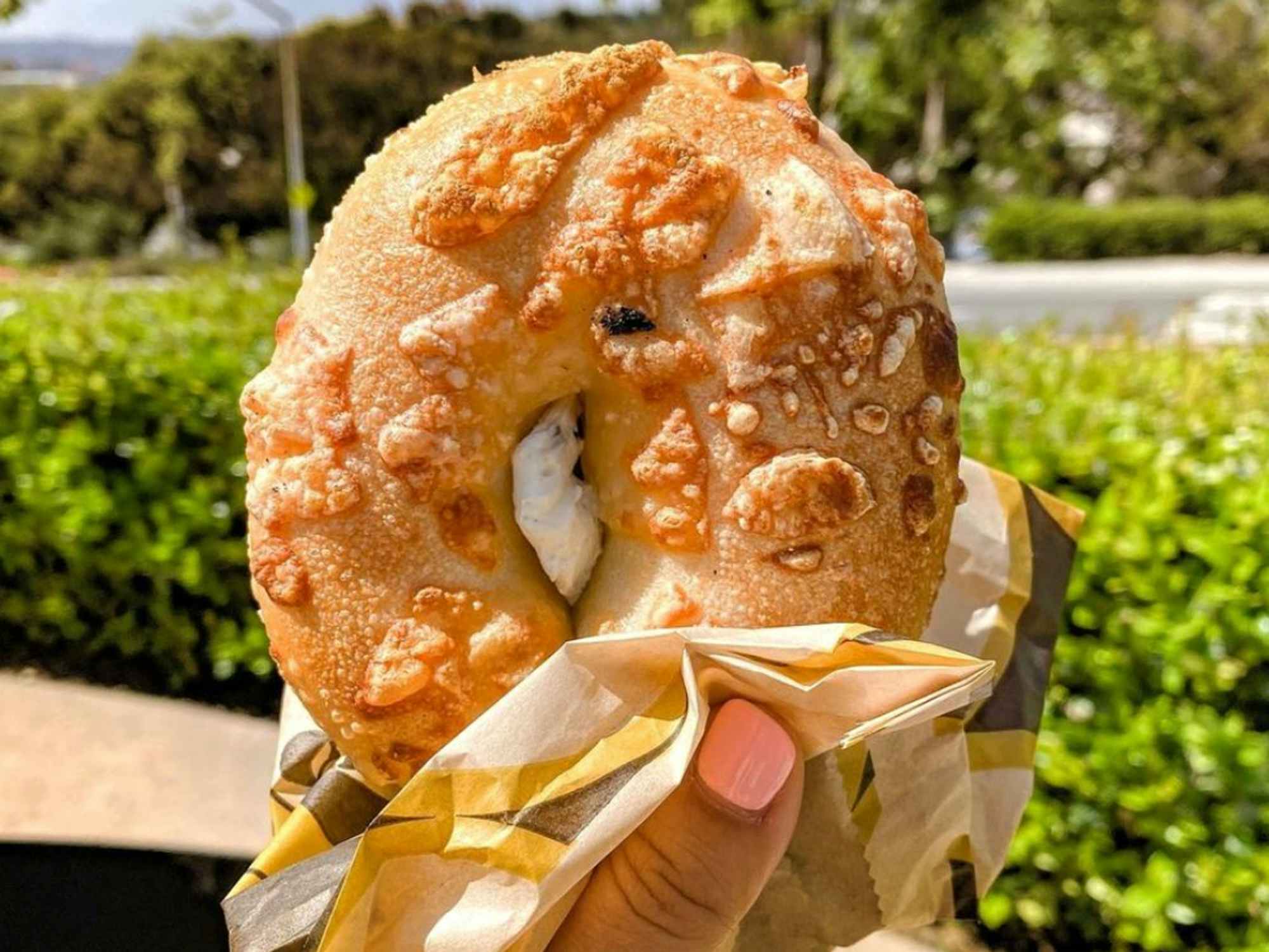 National Bagel Day Deals on Jan. 15, 2024 Free Bagel at Einsteins Bros