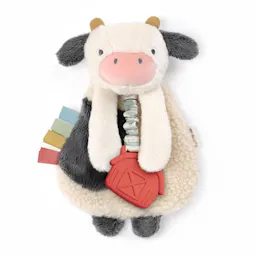 5 Baby Toys Bundle