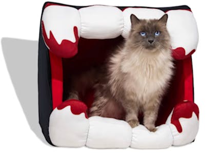 Vampire Fang Pet Bed