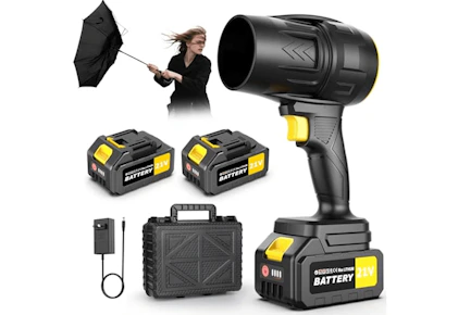 Battery-Powered Handheld Leaf Blower