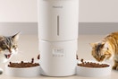 dual automatic cat feeder