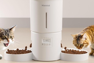 dual automatic cat feeder