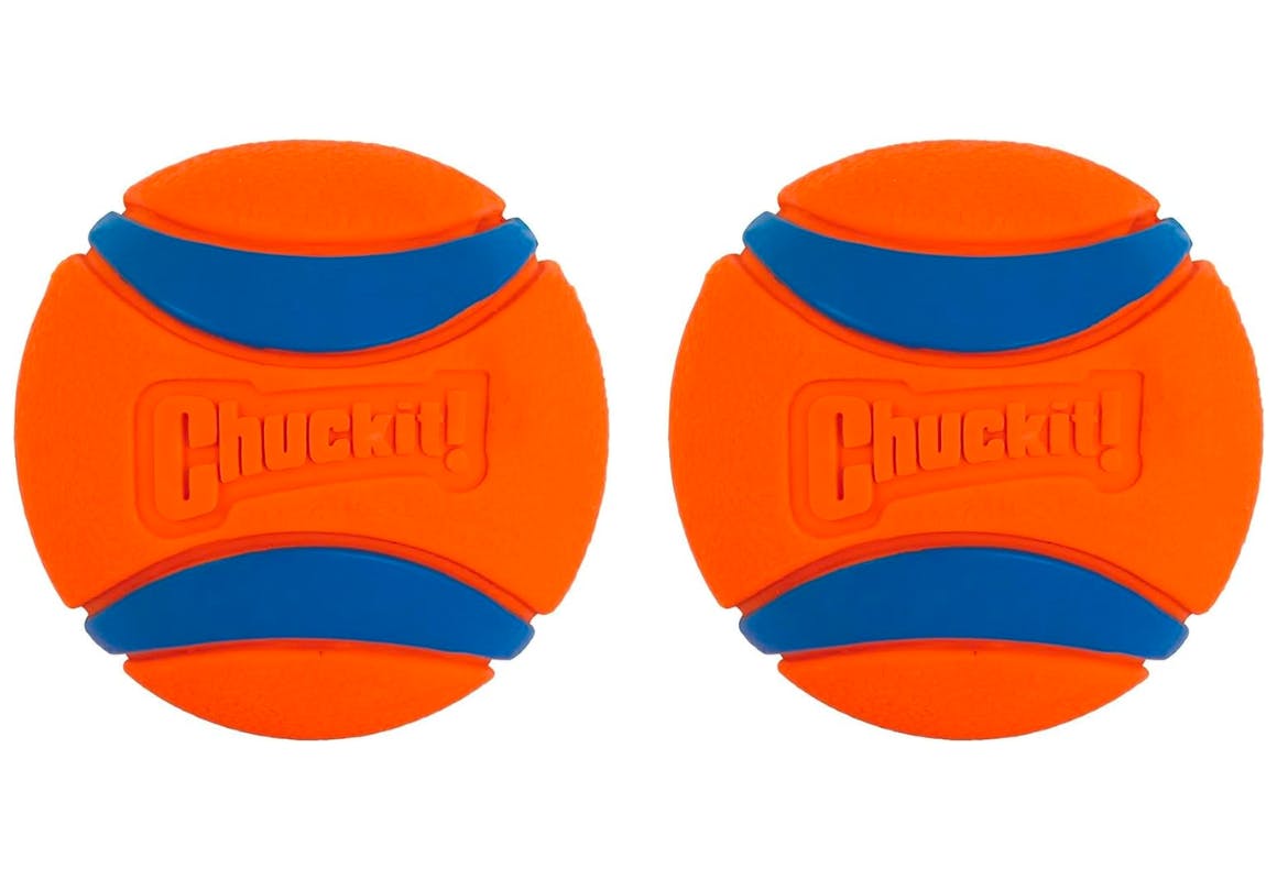 Chuckit Ultra Ball Dog Toy