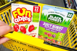 Easy Deal: BOGO Funables and Black Forest Fruit Snacks at Dollar General card image