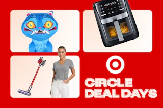 Derpy plush, Gourmia air fryer, Dyson vacuum, and gray women's tee