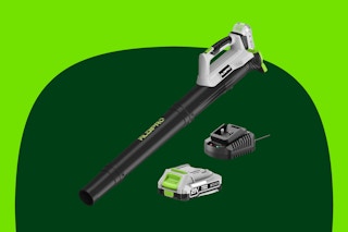 Leaf Blower Cordless