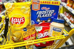 groceries in a dollar general shopping cart