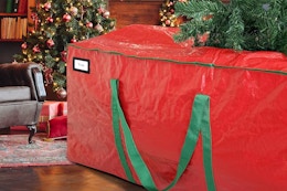 a storage bag in a living room