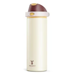 Insulated Water Bottle