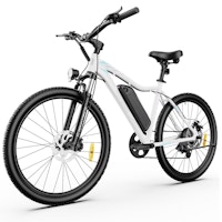 5th Wheel Adult Electric Bike
