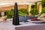 a fly repellent fan near food
