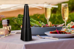 a fly repellent fan near food