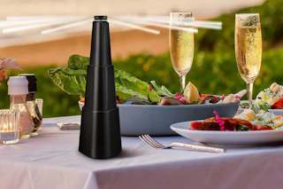 a fly repellent fan near food