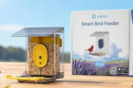 Smart Bird Feeder with Camera