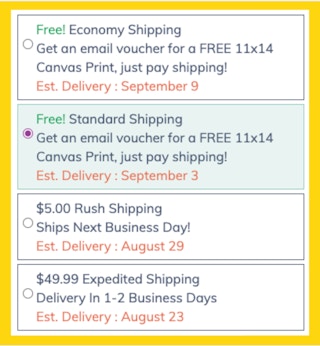 Canvas On the Cheap Shipping Options