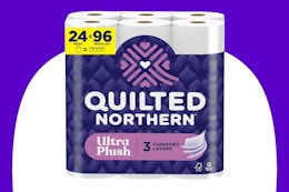 Stock image of the 24-mega-roll pack of Quilted Northern Toilet Paper