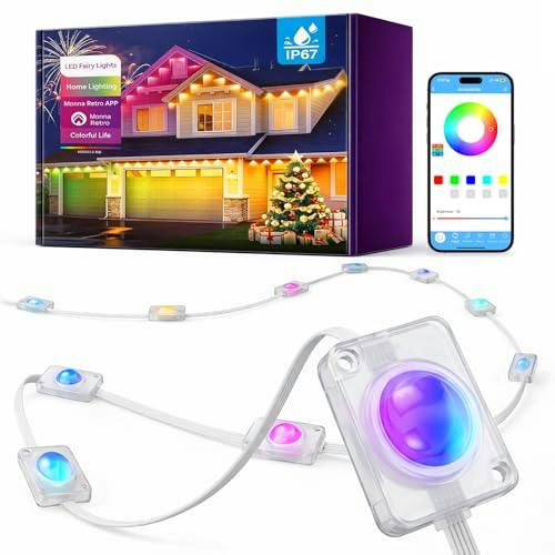 Permanent Outdoor Lights