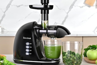 slow masticating juicer