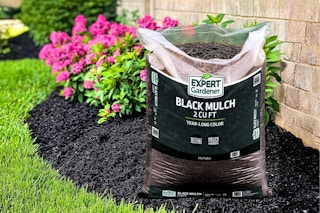 Lifestyle image of Expert Gardener Mulch in black used for landscaping
