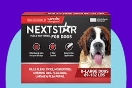 Amazon Pet Day: 6 Months of NextStar Flea and Tick Treatment for Only $35 card image