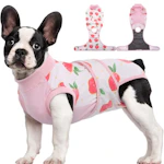 Recovery Suit for Dogs