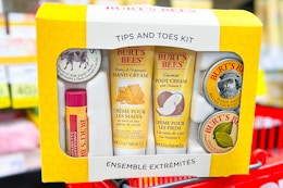 Burt's Bees Tips & Toes Gift Set, as Low as $11.33 Each on Amazon card image