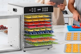 a food dehydrator on a counter
