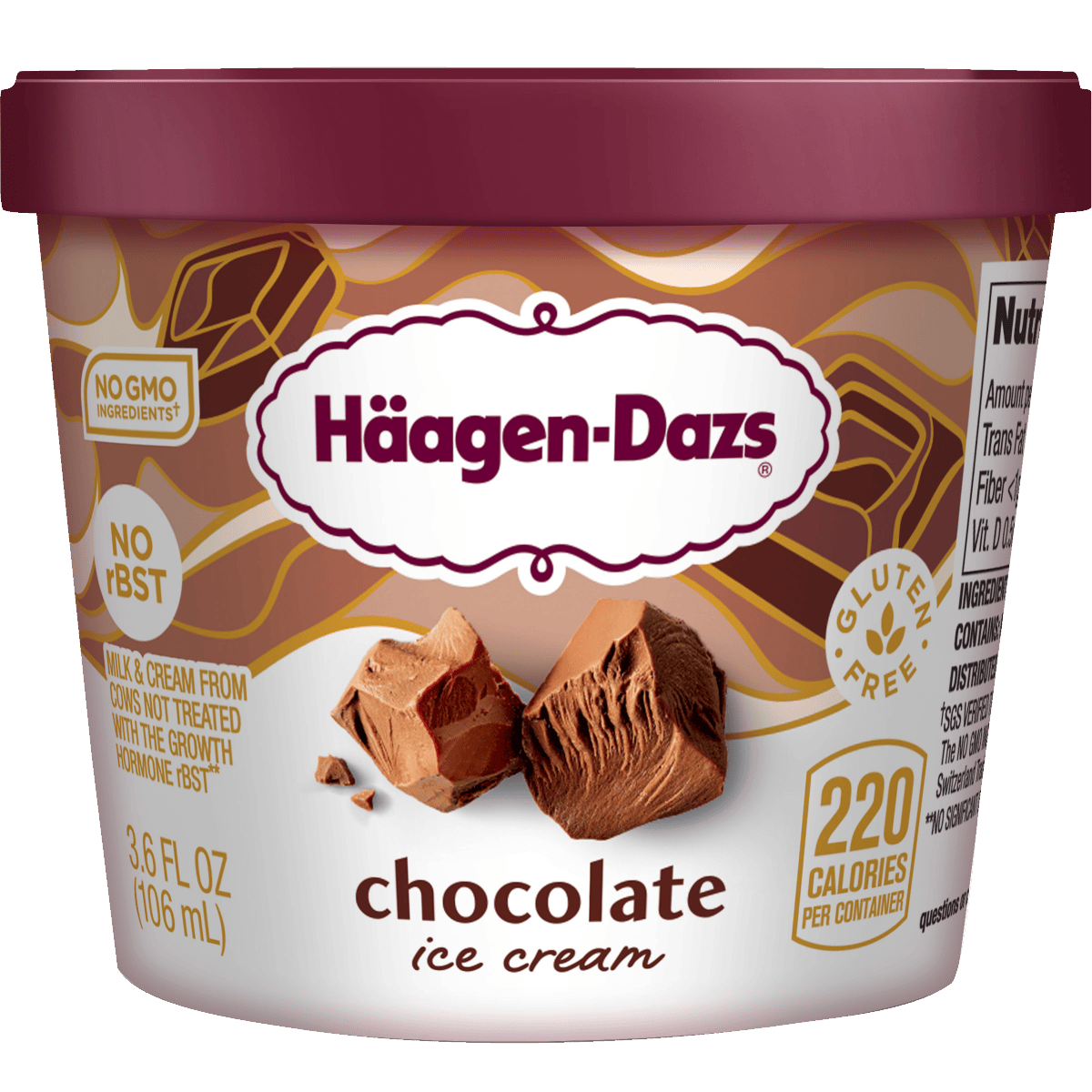 Haagen-Dazs Ice Cream