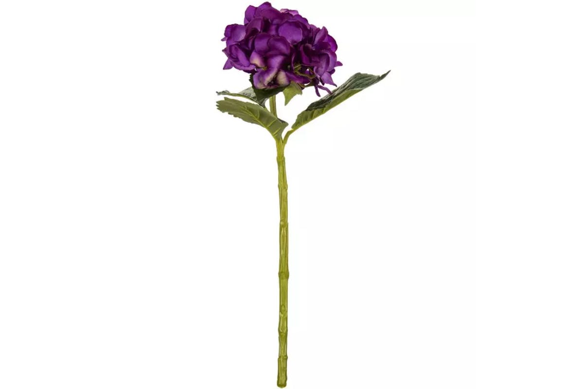Hydrangea Stem
