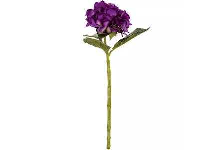 Hydrangea Stem
