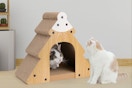 cats in a scratching tree