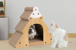 cats in a scratching tree