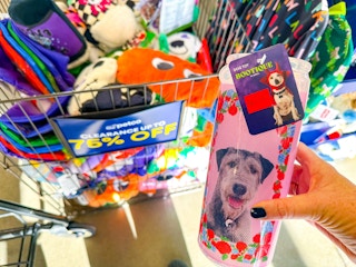 petco-halloween-clearance-dog-toys-2