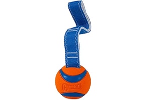 Chuckit Ultra Tug Dog Toy