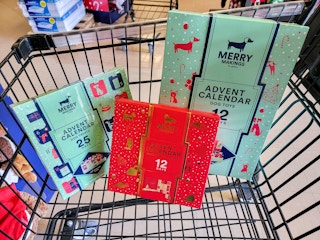 pet advent calendars