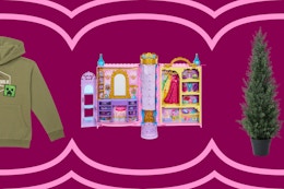 Minecraft sweatshirt, Disney Princess closet, and pine artificial plant