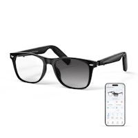 Adult Smart AI Glasses