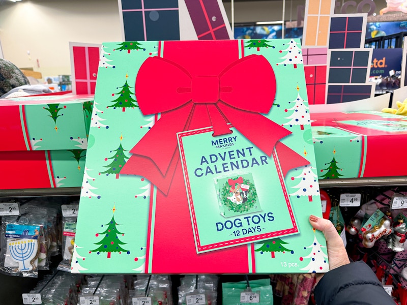 person holding a dog toy advent calendar